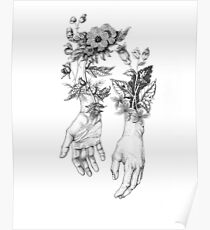 Kräuter der Hexe Poster