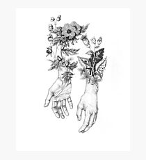 Witch's Herbs Photographic Print