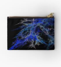 Polarized Plasma Studio Pouch