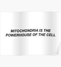 Mitochondrien ist das Kraftpaket der Zelle Poster