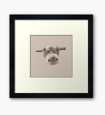 sloth on a vine Framed Print