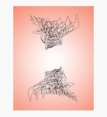 Peach Ravens Photographic Print