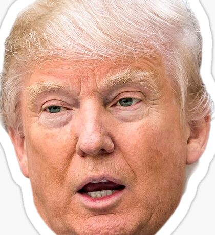 Donald Trump Face: Stickers | Redbubble