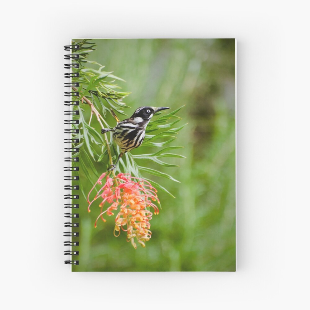 Finding Nectar - New Holland Honeyeater Spiral Notebook