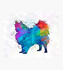 Pomeranian in watercolor Photographic Print