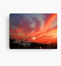 just peachy Canvas Print