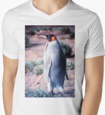 King Penguin on Heard Island Men's V-Neck T-Shirt