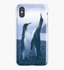 King Penguins iPhone Case
