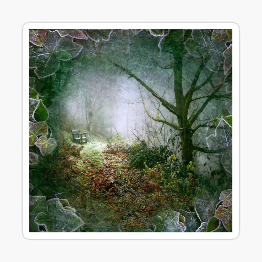 A Winter's Walk (square crop) Sticker
