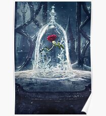 Enchanted Rose Poster