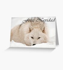 Arctic Wolf Christmas Card - Spanish - 12 Greeting Card