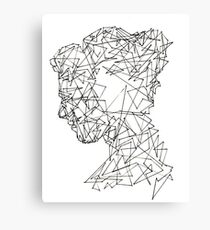 Shards 2 Canvas Print