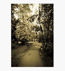 Entering to Wonderland Photographic Print