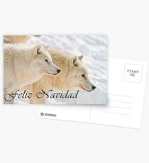 Arctic Wolf Christmas Card - Spanish - 13 Postcards