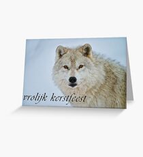 Arctic Wolf Christmas Card - Dutch - 15 Greeting Card