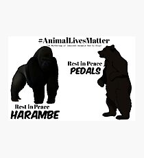 Harambe & Pedals Photographic Print