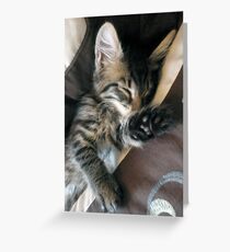Talk to the paw, i'm sleeping! Greeting Card