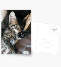 Talk to the paw, i'm sleeping! Postcards