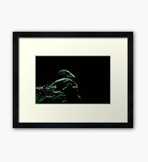 Gree Lizard Framed Print