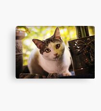 Olaf Canvas Print