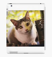 Olaf iPad Case/Skin