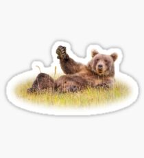 Hi! Welcome to Lake Clark Sticker