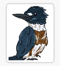 Belted Kingfisher Sticker