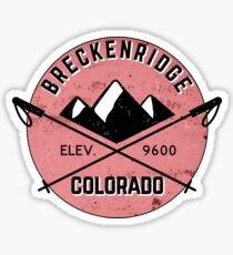 BRECKENRIDGE COLORADO CROSSED SKIS Mountain Skiing Ski Snowboard Snowboarding BRECK 3 Sticker