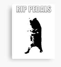 pedal the bear rip Canvas Print