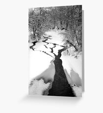 Tree(s) Greeting Card