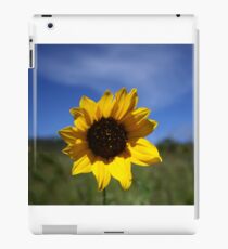 Sun iPad Case/Skin