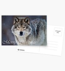 Timber Wolf Christmas Card - English - 20 Postcards