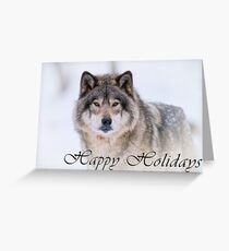 Timber Wolf Holiday Card - 21 Greeting Card