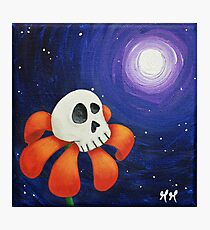 Moon Gazer Photographic Print
