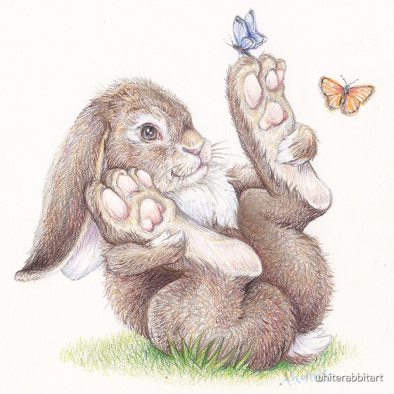 "Butterfly Rabbit" by whiterabbitart Redbubble