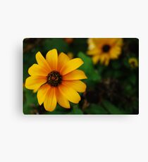 Life Flower Canvas Print