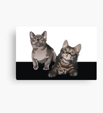Kittens Canvas Print