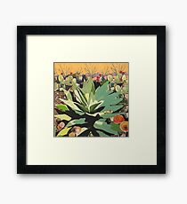 Agave in Stitches Framed Print