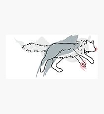 Sleepy Zeus Photographic Print