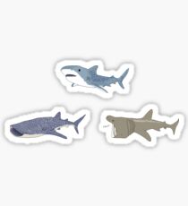 Sharks 2 Sticker