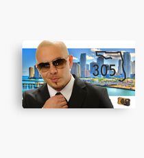 Mr 305 Metal Print