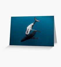 Whale Love Greeting Card