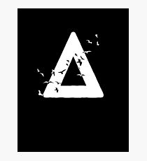 Bastille Birds Triangle White Photographic Print