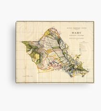Vintage Map of Oahu Hawaii (1906) Canvas Print