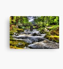 Tollymore Forest Park 2 Canvas Print