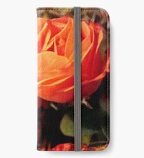 In the Autumn light ^ iPhone Wallet/Case/Skin