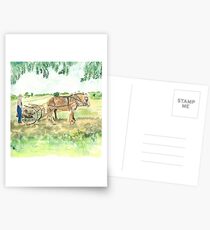 Another Way of Life Postcards