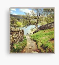 A stroll through the woods Canvas Print