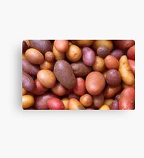 Potatoes Canvas Print
