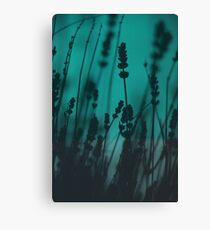 Lavender Silhouette Canvas Print